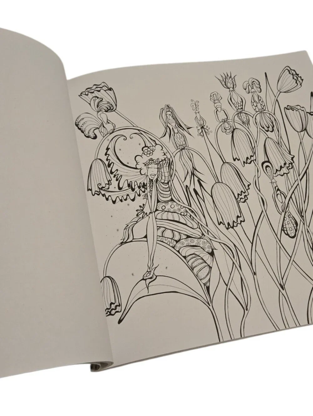 Zendoodle Fairies In Dreamland Coloring Book